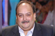 Fugitive Jeweller Mehul Choksi caught in Dominica